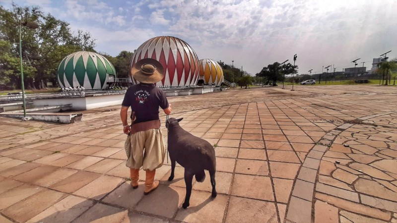 Expointer Digital 2020 vai até domingo (04/10). Na programação, homenagens aos 50 anos do Parque Assis Brasil