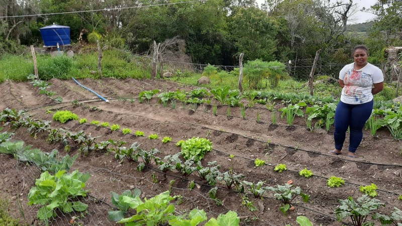 A agricultora Jamila Santana,de Canguçu, prevê que com a horta irrigada vai aumentar a produção de alface, repolho, couve, beterraba, alho, entre outras hortaliças.