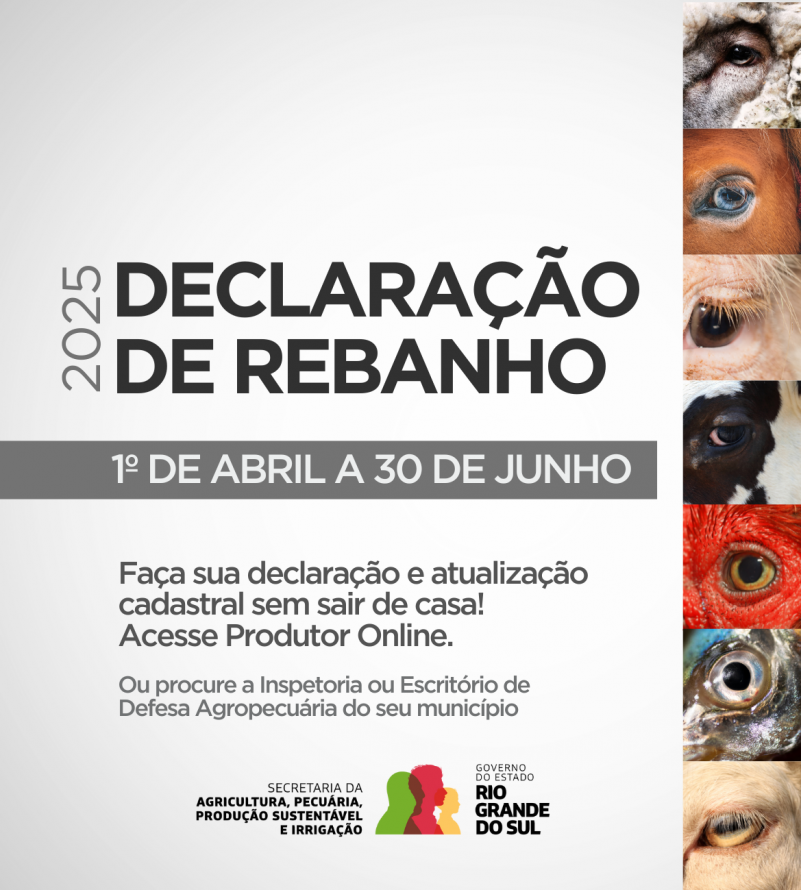 DECLARAÇÃO DE REBANHO 2025