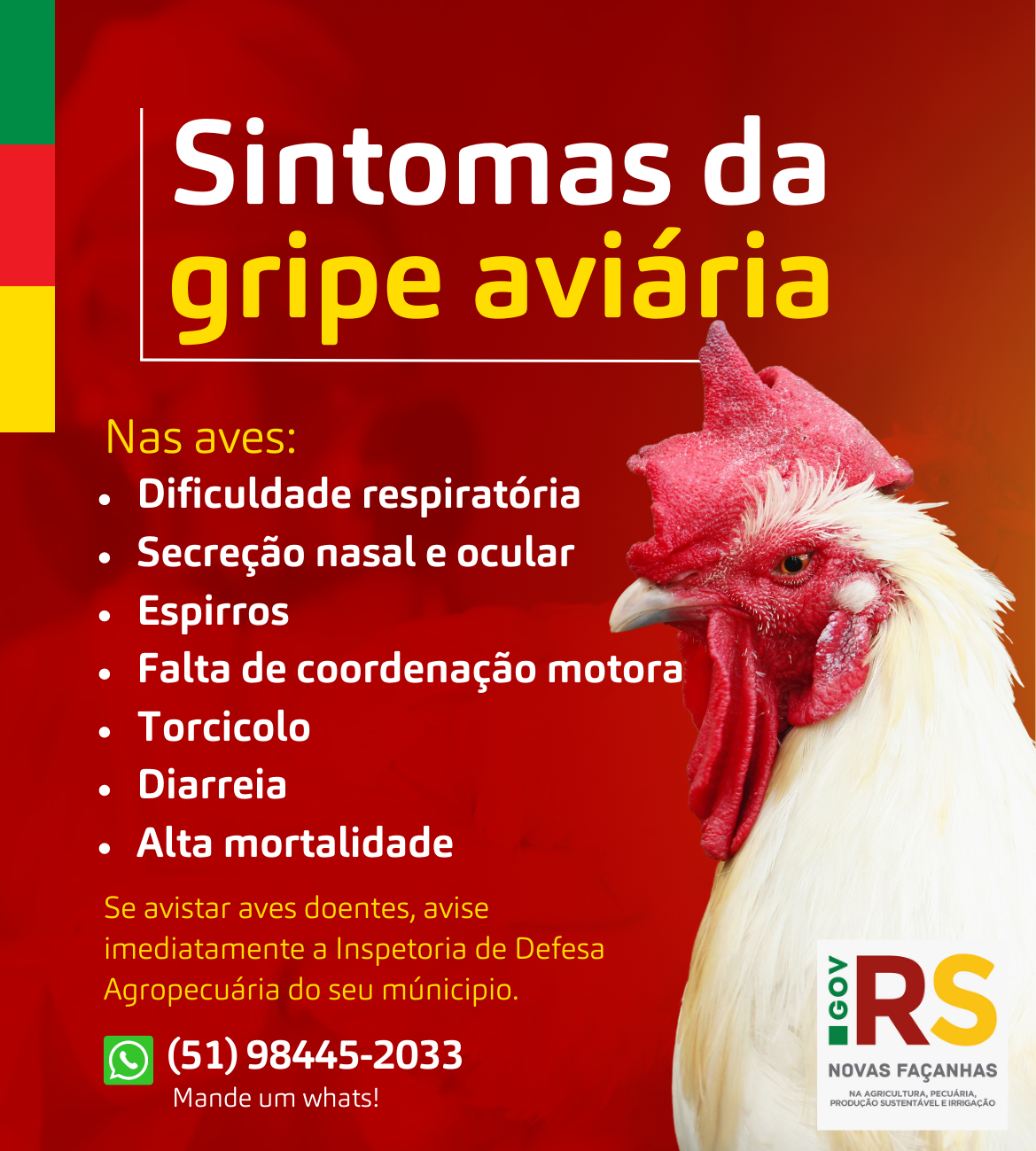 Gripe Aviária - Secretaria da Agricultura, Pecuária, Produção Sustentável e  Irrigação