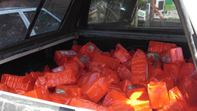 20130103184323queijo-tramandai.jpg