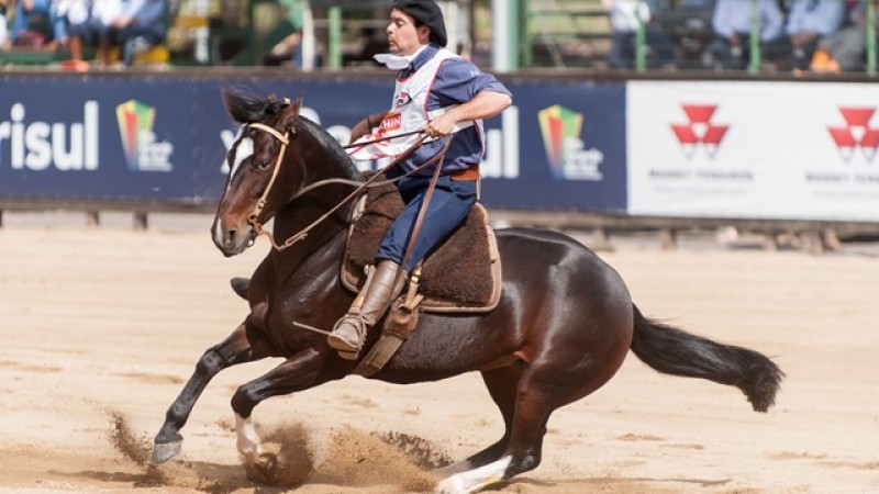 201304221034001-lugar-femeas-fu6-d700-9256-divisa-de-los-campos.jpg