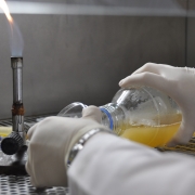 Laboratório em Eldorado do Sul