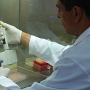 Análise no laboratório de virologia do IPVDF