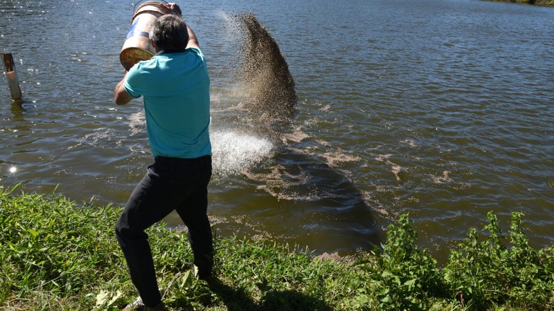Regularização definitiva da atividade depende agora de portaria da Secretaria do Meio Ambiente e Infraestrutura