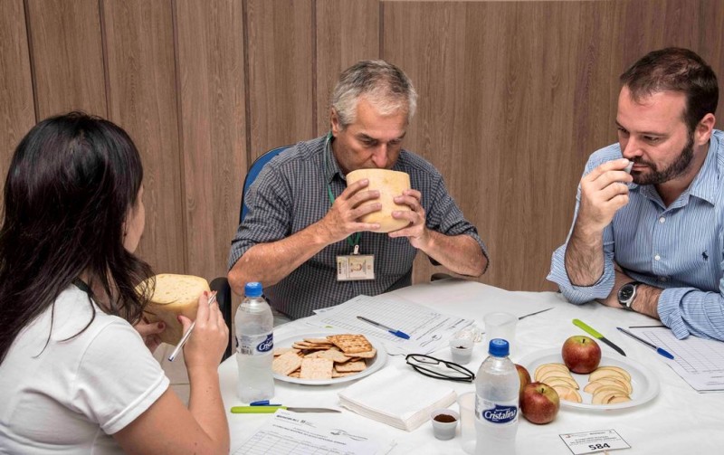 Jurados avaliam os queijos