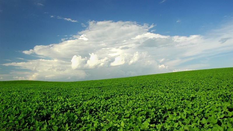 Economia gaúcha apresentou crescimento nos três setores, com destaque para a agropecuária e a indústria