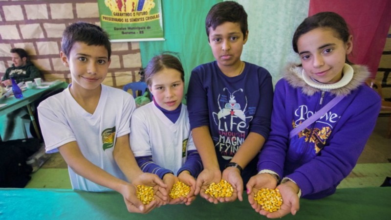 A preservação das sementes crioulas é fundamental para permitir estudos e produção de orgânicos