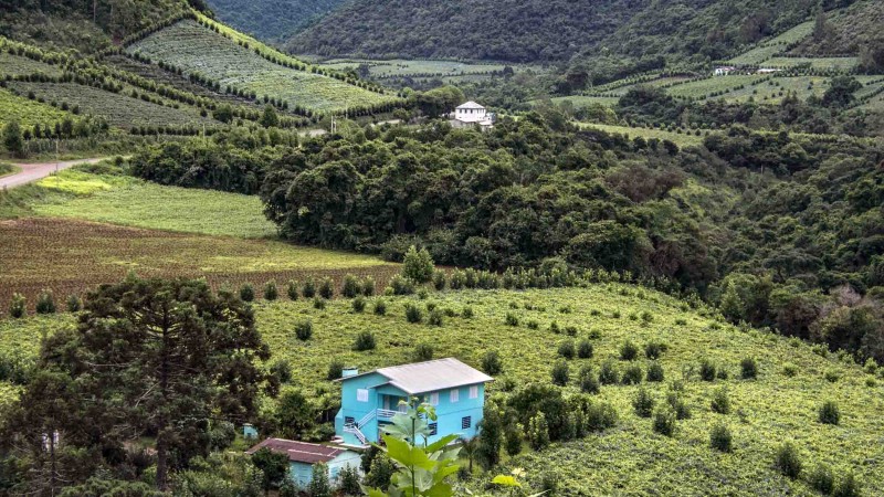 Vinho tinto, branco e espumante do Vale dos Vinhedos estão na lista divulgada pelo Mapa