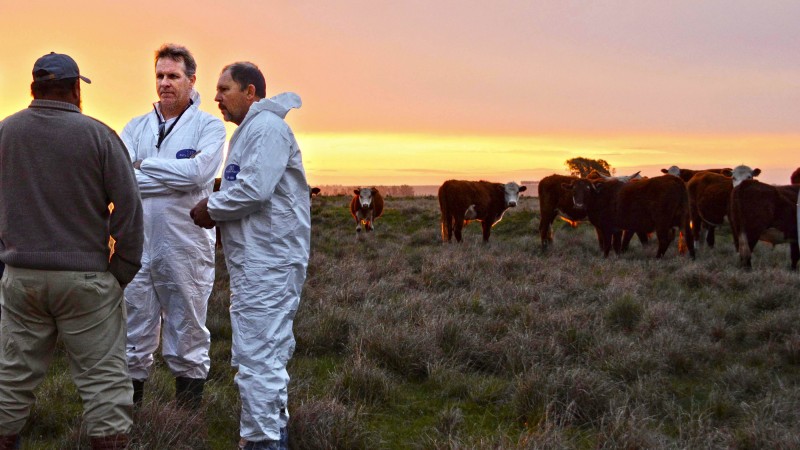 O m&eacute;dico veterin&aacute;rio Wilson Hoffmeister (cento da foto) acumula 22 anos de experi&ecirc;ncia como servidor do Estado 