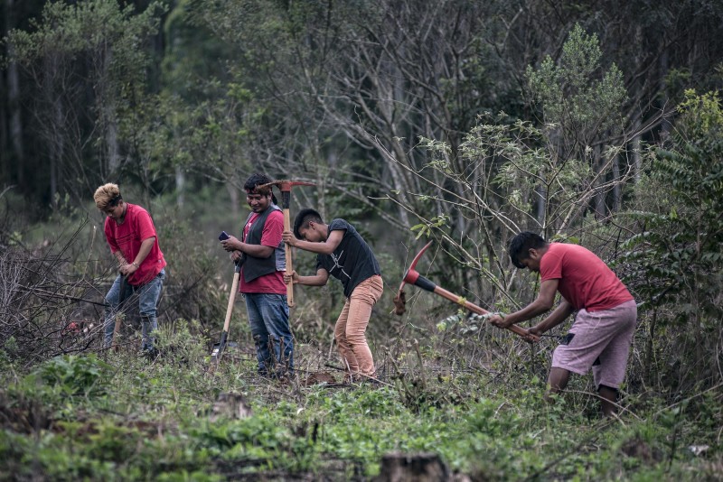 Mutirão mobilizou as 17 famílias da aldeia indígena Mbyá Guarani Guadjayvi, em Charqueadas