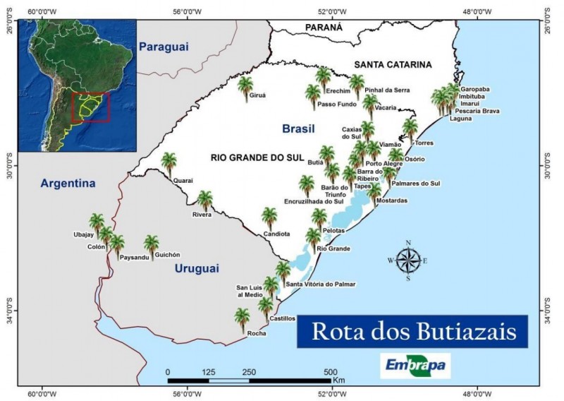 rota dos butiazais
