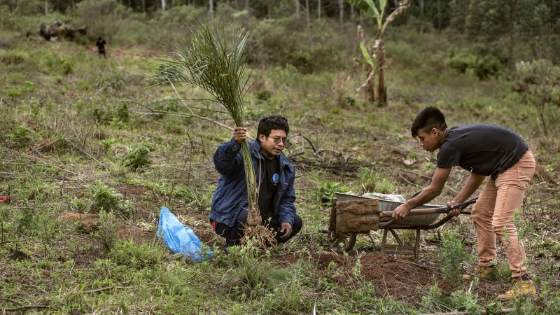 Cacique Cláudio Acosta diz que butiá permite produção de alimentos e fornece matéria-prima para artesanato até habitação