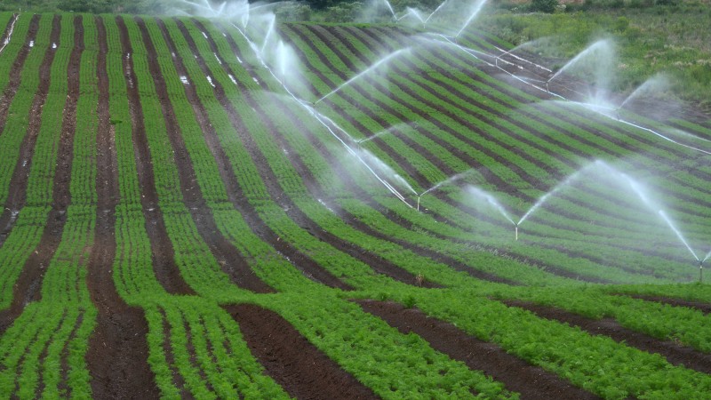 Programa ajudou a ampliar a área irrigada do Estado, passando de 100 mil hectares para cerca de 220 mil em 2019 