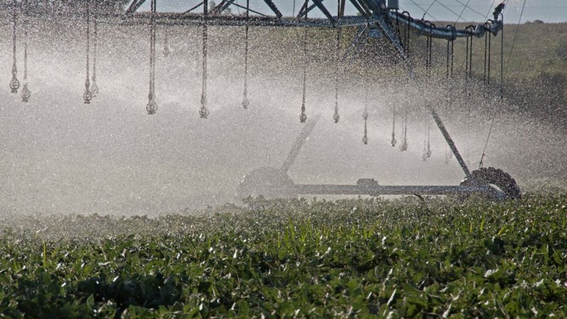 Irrigação é alternativa para contornar efeitos da estiagem