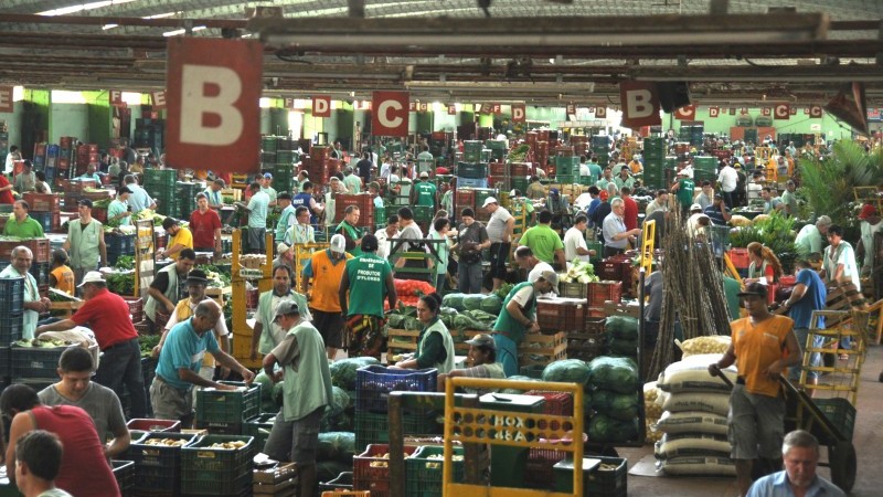 Boxes de venda de hortifruti na Ceasa