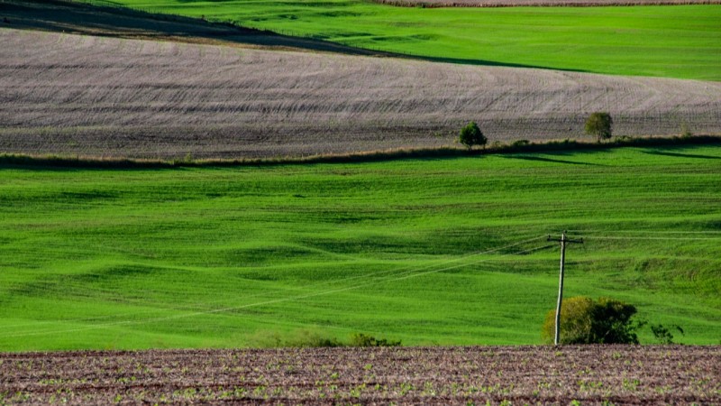 Dia da Conservação do Solo quer alertar a população para a importância de conservar a terra e aumentar a produção de alimentos