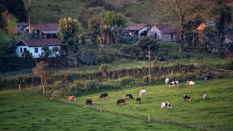 fazenda