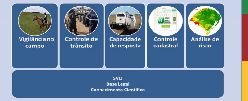 Pilares para o controle da febre aftosa