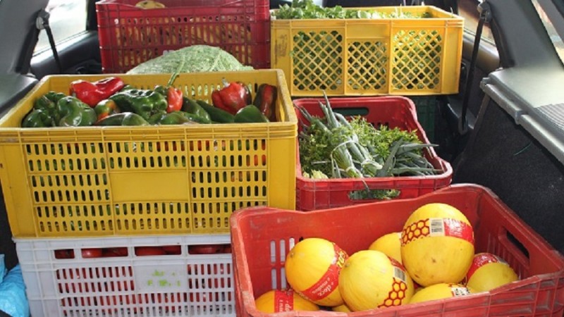 Ceasa doação alimentos