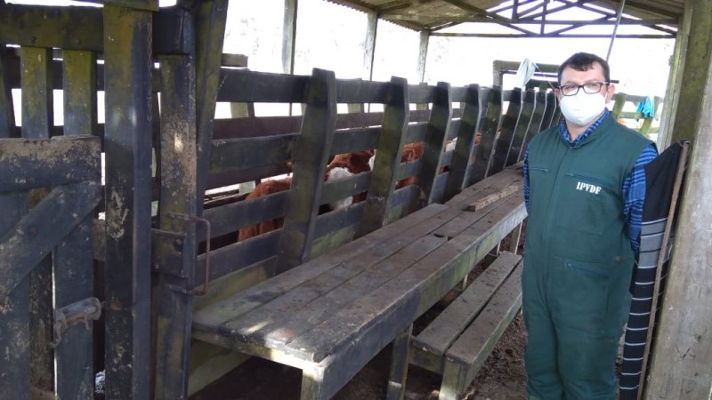 Fiscais e pesquisadores da Seapdr estão investigando surto de TPB em Santa Vitória do Palmar