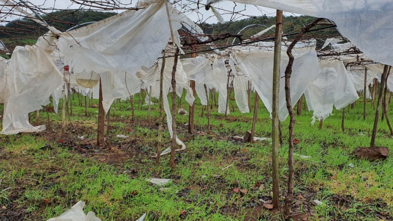 Temporal e ciclone provocam danos estruturais em zona rural, mas não prejuízos significativos para culturas e criações