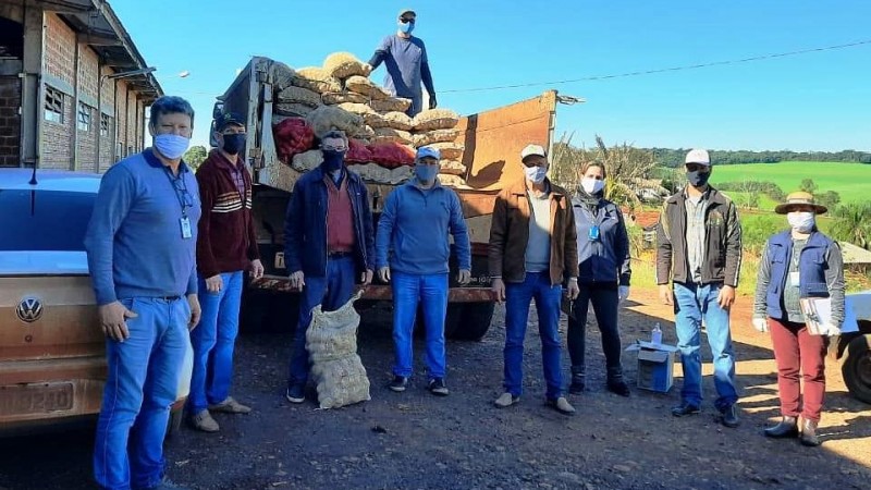 Extensionistas da Emater, com máscaras, em frente a um caminhão com sacas de sementes de batata