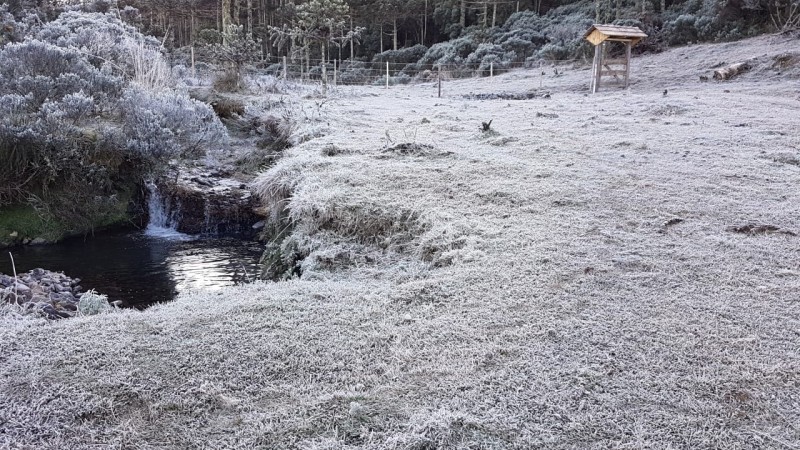 Previsão de ar frio e seco com formação de geada na maioria das regiões