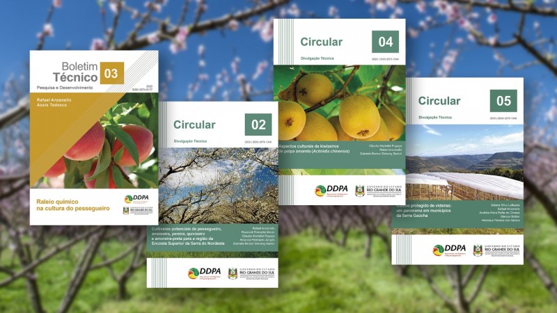 Capas de três circulares e um boletim sobre frutíferas de clima temperado