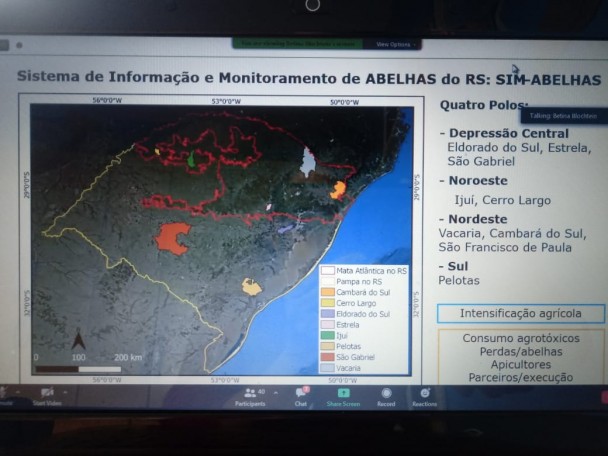 É preciso políticas públicas para evitar a mortandade de abelhas no Estado 