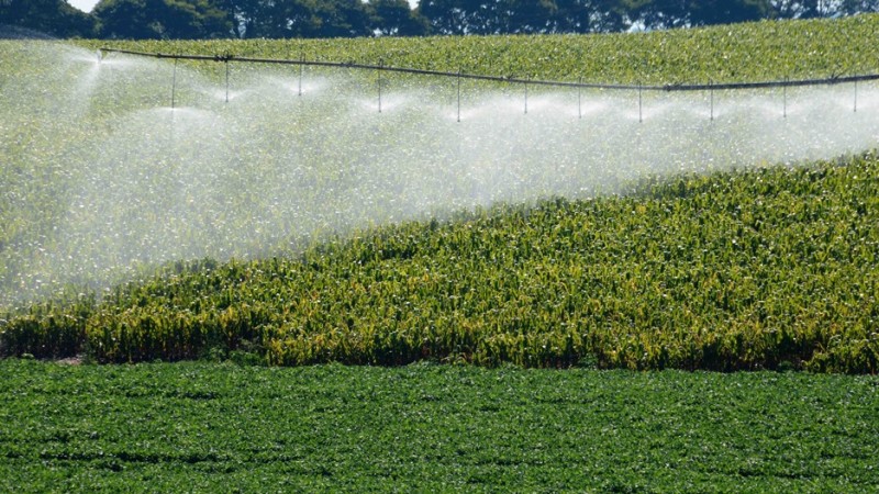 A produção, importação, comercialização e utilização de produtos técnicos e formulados a base do ingrediente ativo Paraquate estão proibidos a partir de hoje (22)