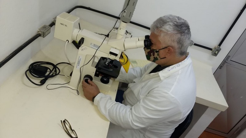 Pesquisador olhando pelo microscópio num laboratório