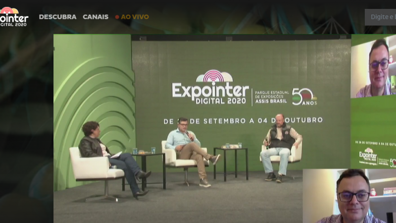 Painel debateu olivicultura Foto Reprodução