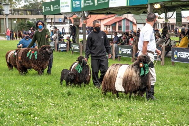 Formato híbrido contou com atividades presenciais no parque, mas sem público