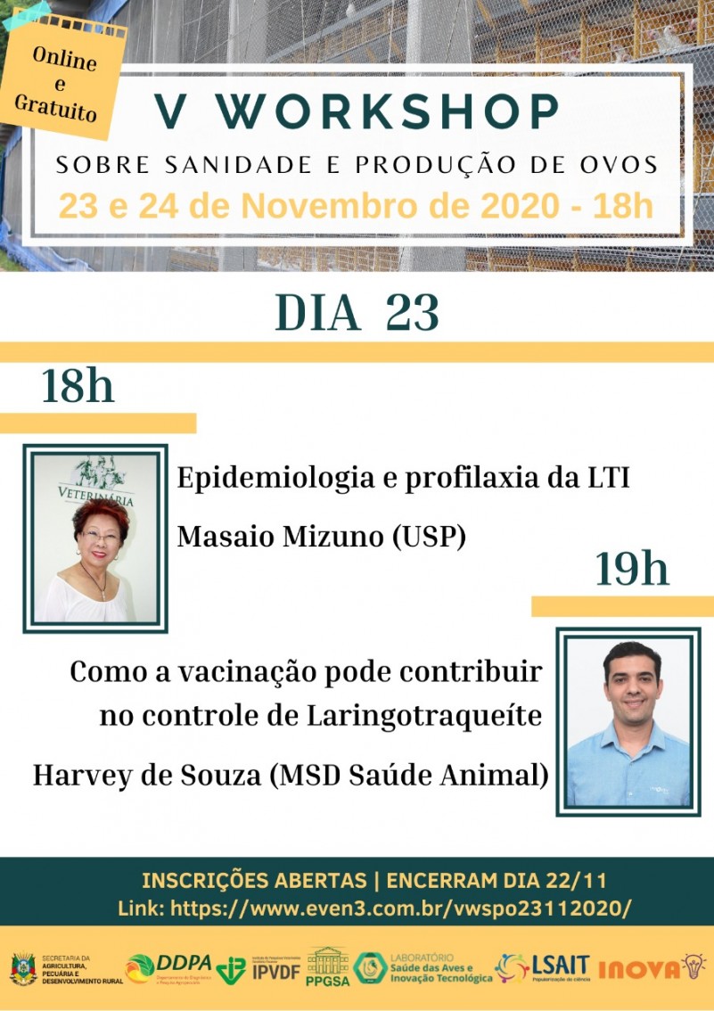 Programação Workshop