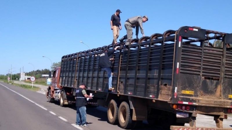 Fiscais analisam carga de caminhão no acostamento de uma rodovia