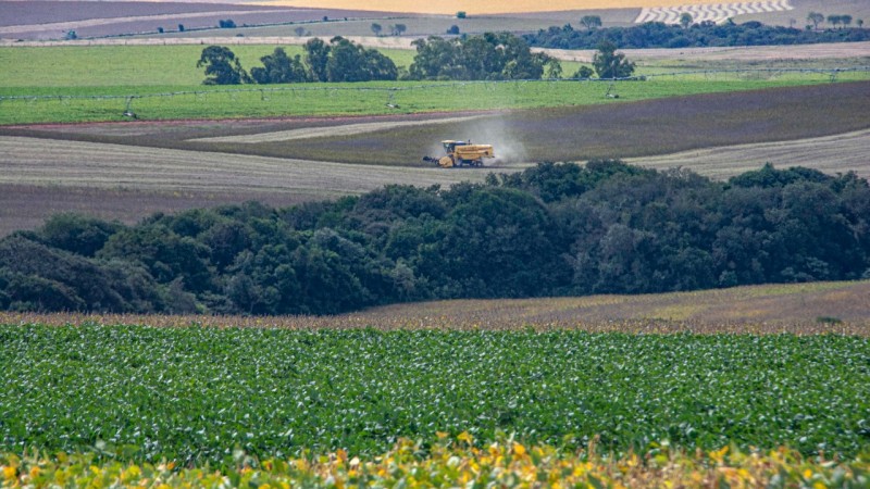 Produção de soja vai ter incremento na produção de 80,02% nesta safra de verão