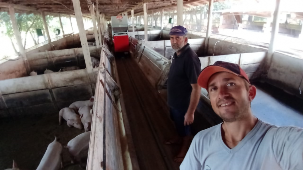 O equipamento que auxilia na alimentação dos suínos foi adquirido por R$ 117mil Foto Divulgação