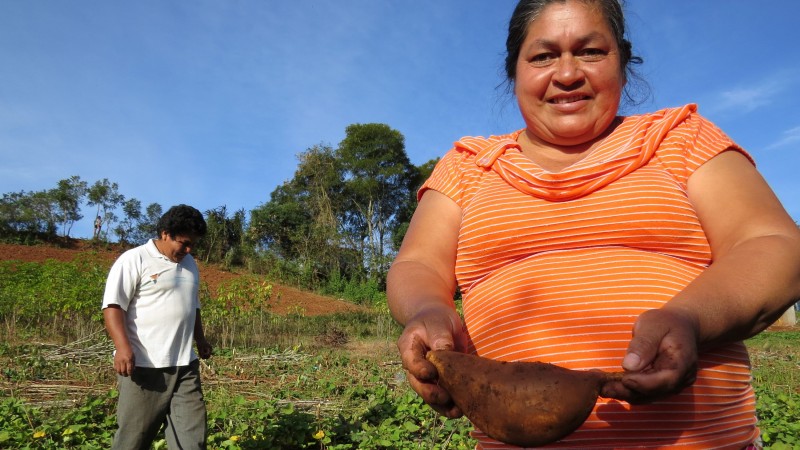 Projeto Semeando nas aldeias, na Terra Indígena Guarita (Kaingang