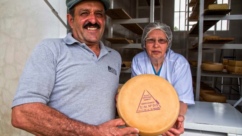 Tradição na produção do queijo artesanal serrano se mantém na propriedade do casal José Luís e Inês Cardoso