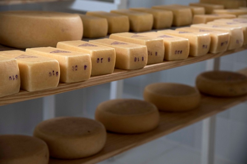 O Selo Arte do queijo artesanal serrano valoriza o saber fazer, a tradição e a geografia local.