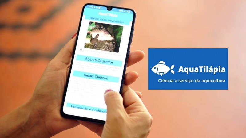 aquatilapia