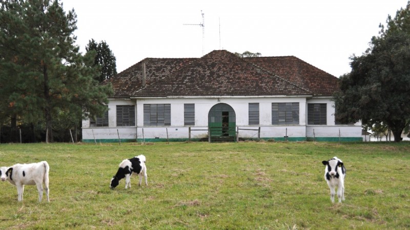 Centro de Pesquisa Iwar Beckman em Hulha Negra