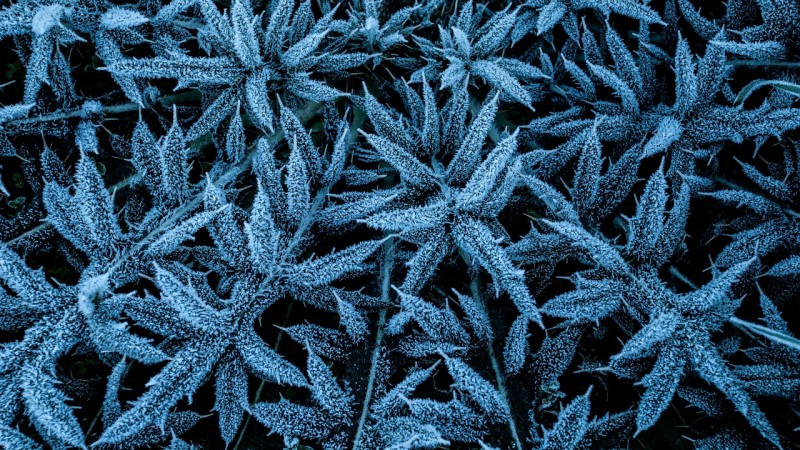 Temperaturas devem baixar no final de semana no RS