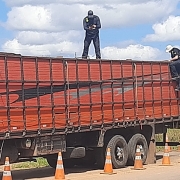 Operação Ronda Agro V