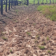 Operação Ronda Agro V