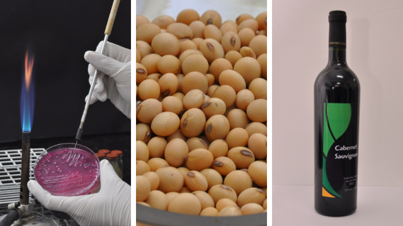 Instrução normativa tabela preços de produtos e serviços ofertados pelo DDPA