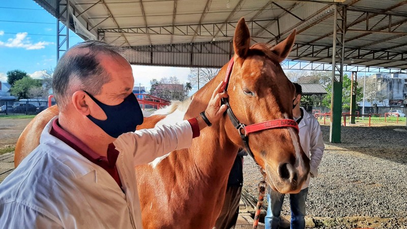 Aurélio comanda o serviço de inspeção de animais no desembarcadouro da Expointer há três anos