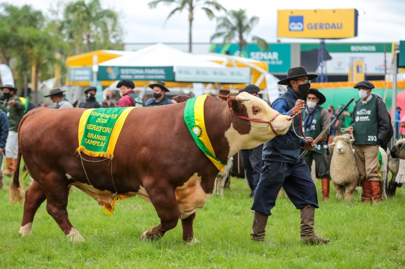 Expointer 2021 é uma das poucas feiras agropecuárias realizadas neste ano no país