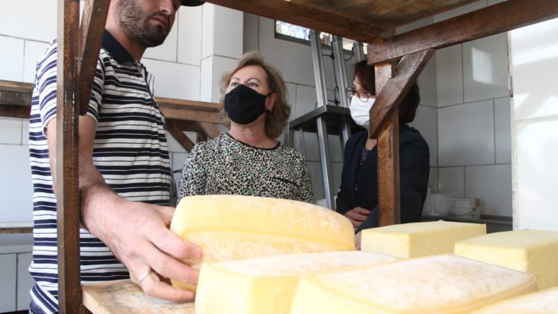 Produção de queijo chega a 300 kg/mês